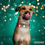 Holiday Hues Christmas Dog Fabric Collar