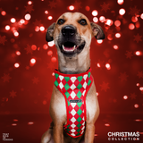 Merry Christmas Argyle Dog Body Mesh Harness thatdogintuxedo