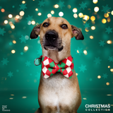 Holiday Hues Christmas Dog Bow tie Collar