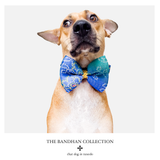 Bandhan -  Festive Bow Tie - Blue/Green