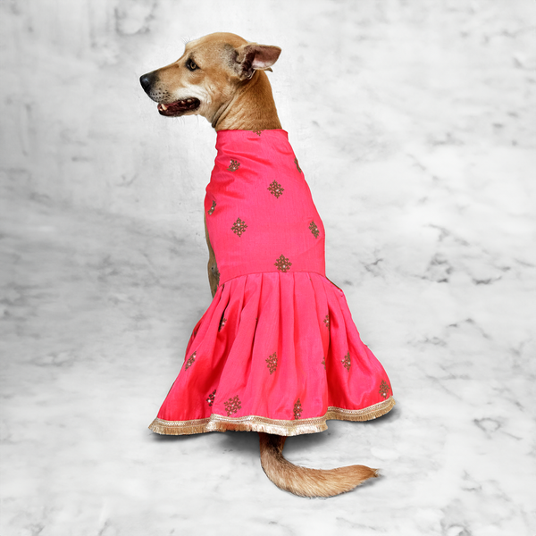 Gulab bari Wedding/Festive Dog Dress – That Dog In Tuxedo