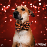 Gingerbread Delight Christmass dog Bow tie Collar