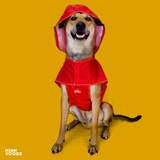 High on Dogs Full Coverage Colorburst Puddle Dog Raincoat - Red/Yellow