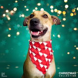 Xmas Pine Christmas Dog Bandana