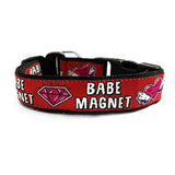 Babe Magnet Dog Collar
