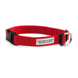 TDIT Basics Dog Nylon Collar - Red