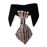 Dog Necktie Shirt Collar - Furberry