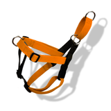 TDIT No Pull Dog Harness - Orange-Black thatdogintuxedo