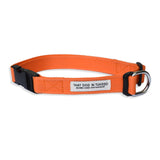 TDIT Basics Dog Nylon Collar - Orange