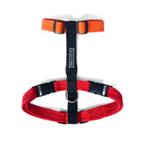 TDIT H-Harness - Colour Pop Collection - Orange/Black/Red That Dog In Tuxedo