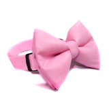 Blush Pink Solid Colour Dog Bowtie