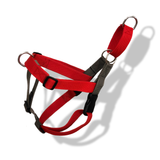TDIT No Pull Harness - Red-Ash Grey