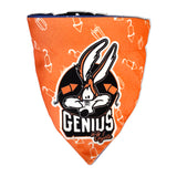 TDIT X Looney Tunes Road Runner/Coyote Reversible Dog Bandana with collar That Dog In Tuxedo