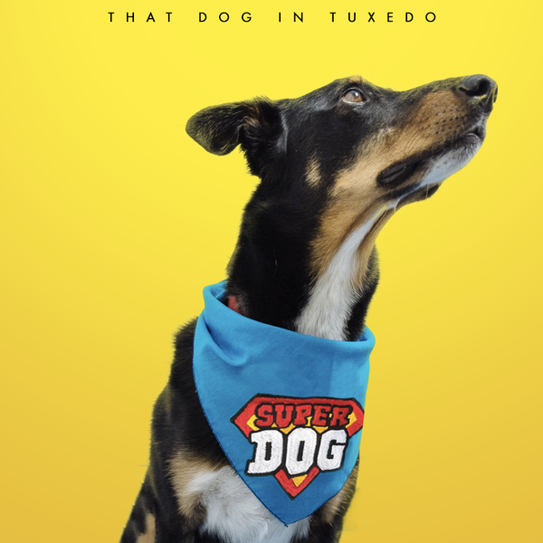 Superhero dog deals bandana
