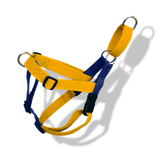 TDIT No Pull Harness - Yellow-Blue