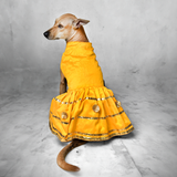 Padmavati Silk Gota Dog Dress - Yellow