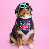 Mom's Fav. Pain in the Ass Embroidered Bandana thatdogintuxedo