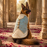 Rajwada Kunwar Sa Sherwani with Koti Festive Dog Sherwani -Sea Green /Gold