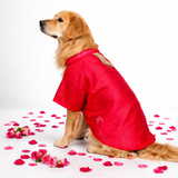 TDIT Dog Silk Kurta Festive/wedding - Red That Dog In Tuxedo