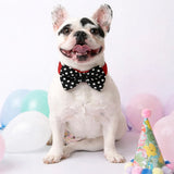 Twinkle Dots Adjustable Bow tie Collar