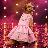 Gulabi Ghoomar Garba Dog Dress - Pink