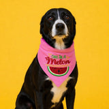 One in a Melon Dog Bandana