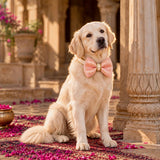 Rajwada Rajdhiraj Festive Dog Bow Tie - Pink