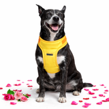 Color Pop Body Mesh Harness - Yellow