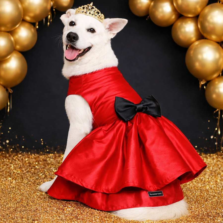 Dog Wedding Collection - Buy Dog Wedding Collection for your Dogs Online -  That Dog In Tuxedo