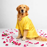 TDIT Dog Silk Kurta Festive/wedding -Yellow