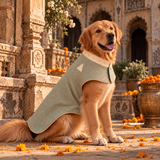 Rajwada Rajeswar Sherwani Festive Dog Sherwani - Sea Green