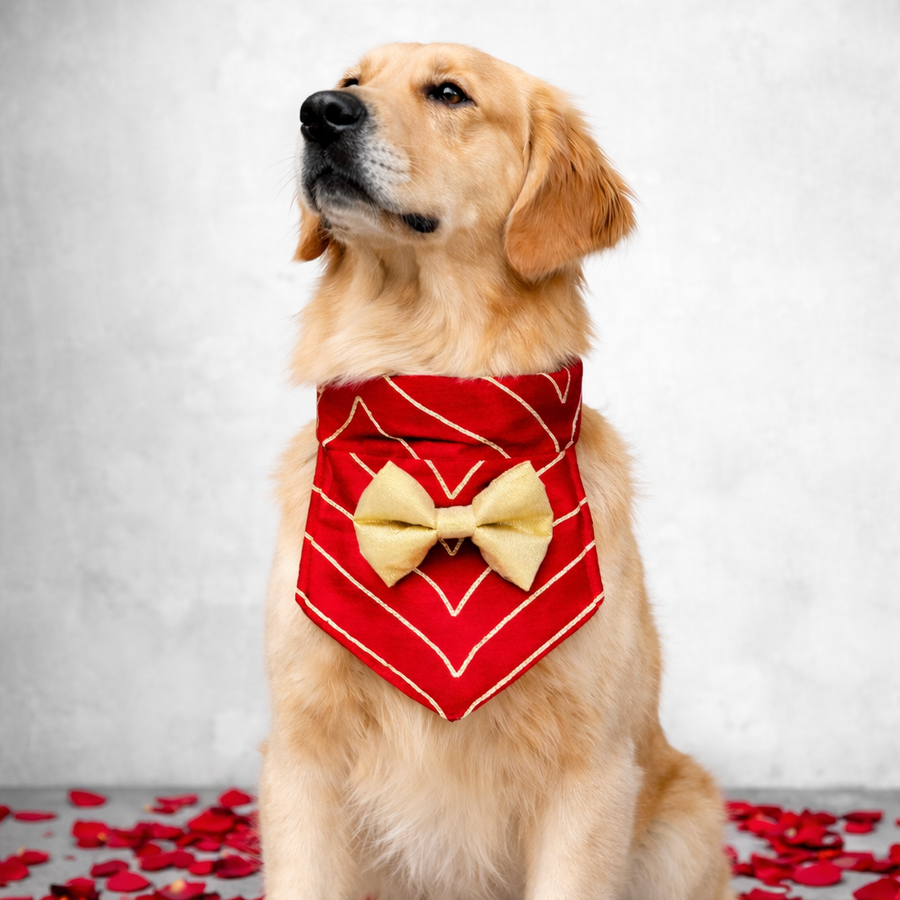 Dog Wedding Collection - Buy Dog Wedding Collection for your Dogs Online -  That Dog In Tuxedo