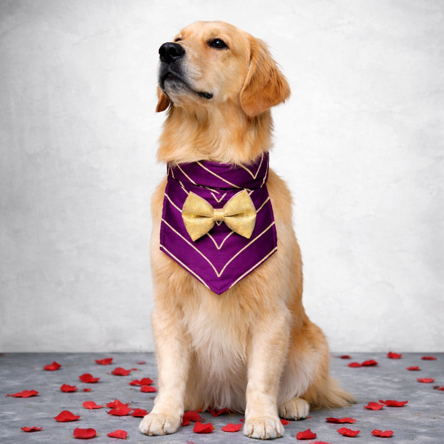 Dog Wedding Collection - Buy Dog Wedding Collection for your Dogs Online -  That Dog In Tuxedo