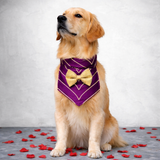 Rajwada Sherwani Bandana/Bib/Vest - Purple