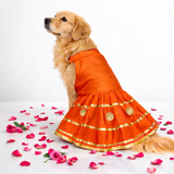 Padmavati Silk Gota Dog Dress - Orange