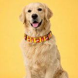 Cola and Fries Adjustable Dog Collar