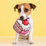 Squeaky Toy for Tough chewers - Birthday Cake