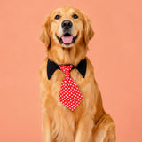 Dog Necktie Shirt Collar - Red Polka Dots