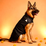 Shyama Brocade Festive Dog Sherwani - Black