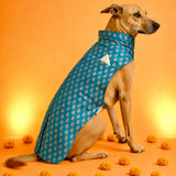 Neelmani Brocade Festive Dog Sherwani - Blue