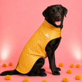 Tejas Brocade Festive Dog Sherwani - Yellow