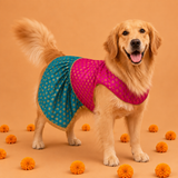 Shubhotsav Brocade Silk Dog Dress - Padmini (Pink/blue)