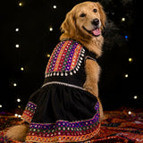 Rangilo Raas Garba Dog Dress - Black Multicolour