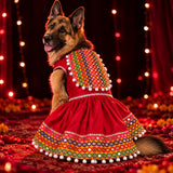 Navrang Garba Dog Dress - Red Multicolour