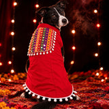 Dholida Garba/Navratri Festive Dog Sherwani - Red Multicolour