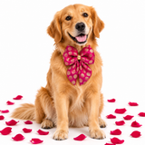 Jashn Dog Festive Bow Tie - Utsava collection- Magenta