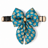 Bandhan Dog Festive Bow Tie - Neel Gagan