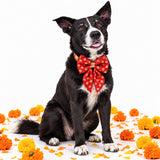 Jashn Dog Festive Bow Tie - Utsava collection-Red