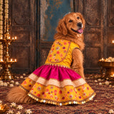 Rajwada Maharani Durgavati Silk Embroidered Lehenga Dog Dress - Yellow/Pink