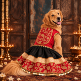 Rajwada Maharani Jodha Silk Embroidered Lehenga Dog Dress - Red/Black